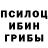 Галлюциногенные грибы Cubensis Dangeon master