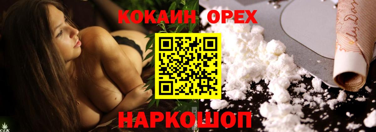 Cocaine Эквадор  Cocaine  Саров  Cocaine FishScale 