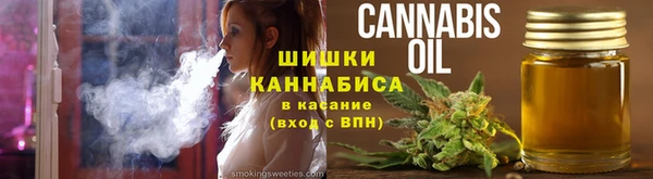 PSILOCYBIN Осташков