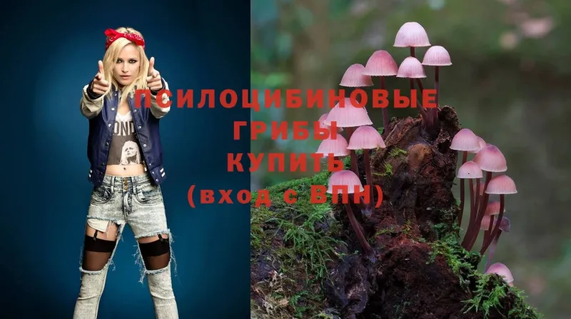 МЕГА ссылки  Саров  Галлюциногенные грибы Psilocybine cubensis 