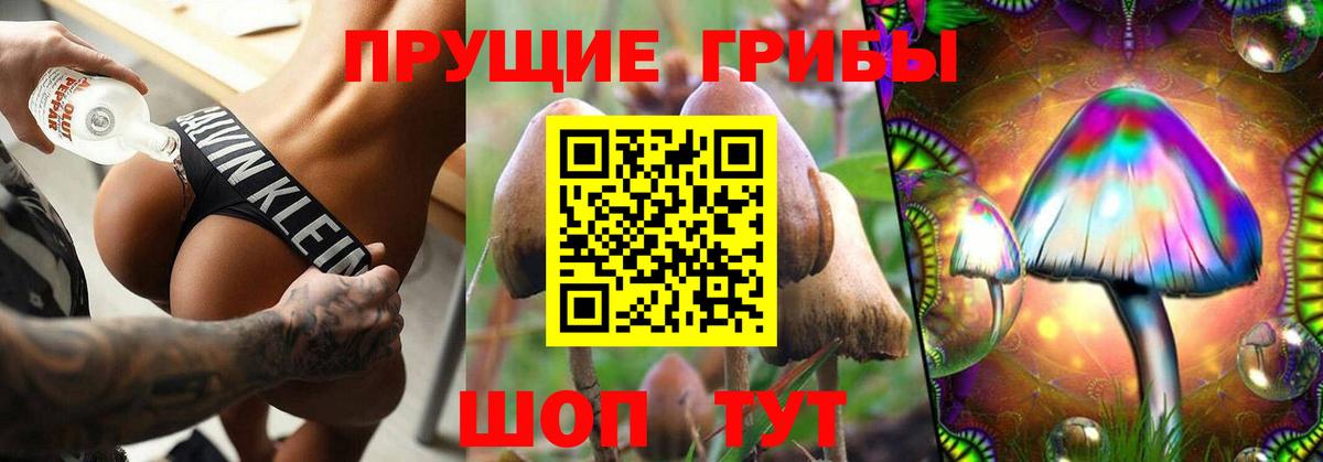 Псилоцибиновые грибы мухоморы  Вход с VPN  Саров  Галлюциногенные грибы Cubensis 