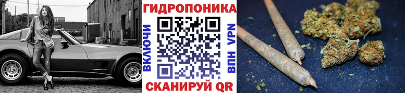 закладка мега маркетплейс Каннабис план Саров